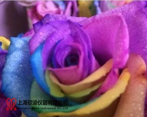 17530760815407.jpg 七彩永生花3.jpg